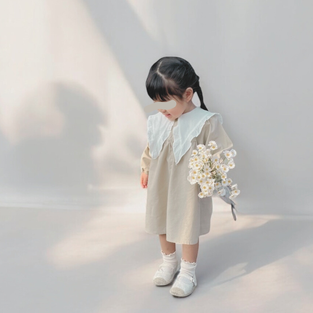 big collar dress - beige