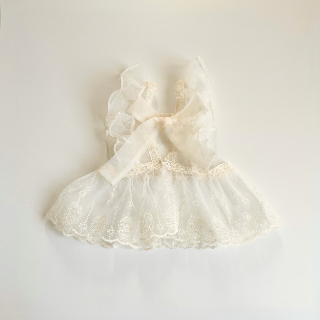 frill ribbon bustier