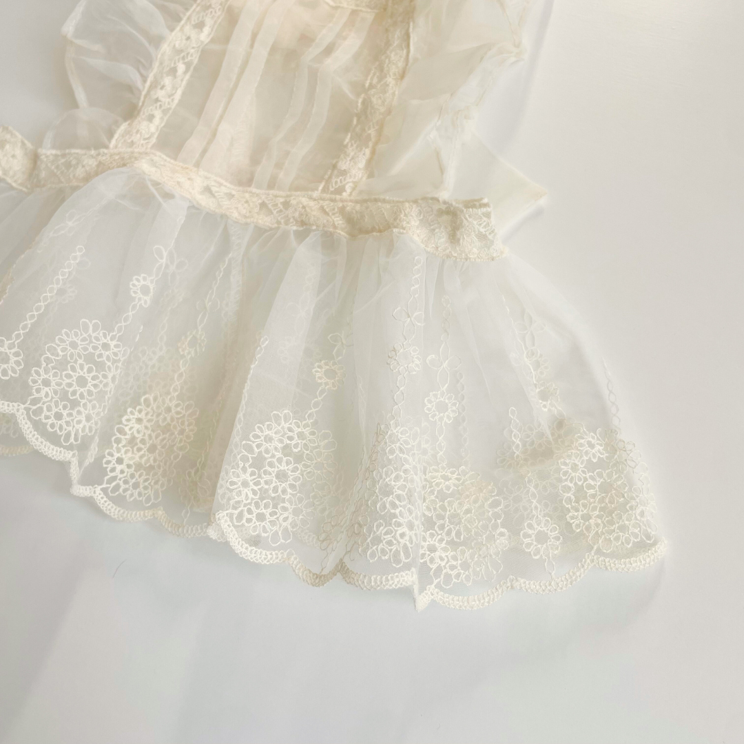 frill ribbon bustier